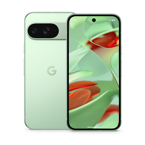 Google Pixel 9 256GB
