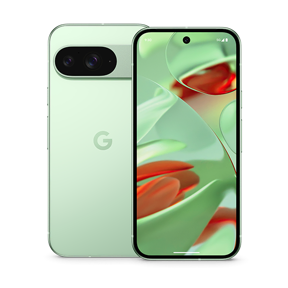 Google Pixel 9 256GB