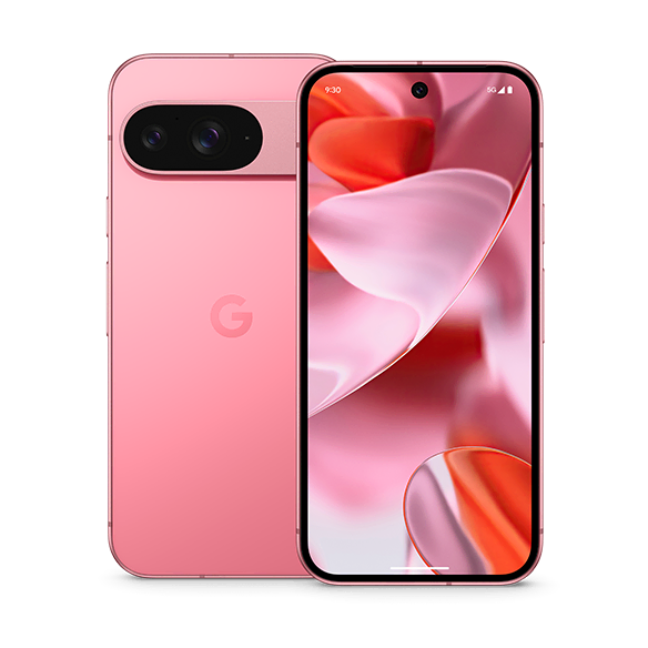 Google Pixel 9 256GB
